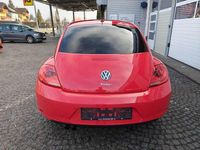 gebraucht VW Beetle Design