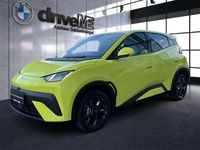 gebraucht BYD Dolphin Surf Boost