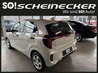 Neu Kia Picanto 68 PS (50 kW) 2025 Beige Kleinwagen