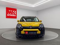 gebraucht Fiat Panda FireFly Hybrid 70 Cross Aktionspreis