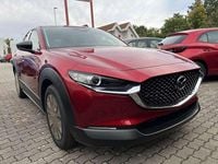 gebraucht Mazda CX-30 e-Skyactive G140 Homura Aut.