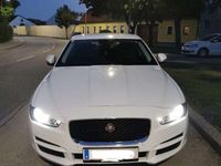 gebraucht Jaguar XE 20d Pure AWD Aut.