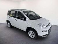 Gebraucht Fiat Panda S 69 PS (50 kW) 2024 Weiß Kleinwagen