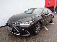 gebraucht Lexus ES300H Business Line Aut.