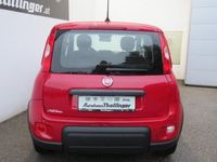 gebraucht Fiat Panda 4x2 FireFly Hybrid 70 Pandina