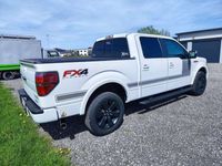 gebraucht Ford F-150 5l V8 FX4 Rundum Sorglos Paket ohne Rost!!