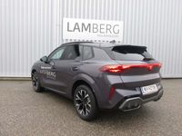 gebraucht Cupra Terramar ALPHA 1.5 e-TSI 150 PS DSG