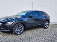 Gebraucht Mazda CX-30 Exclusive 140 PS (102 kW) 2025 Grau SUV