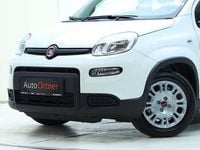 gebraucht Fiat Panda 4x2 FireFly Hybrid 70