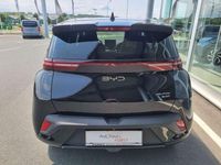 gebraucht BYD Dolphin Surf Boost