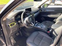 gebraucht Mazda CX-5 G194 AWD Newground Aut.