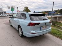 gebraucht VW Golf VIII Variant Business mHeV DSG