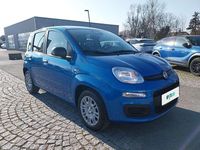 Neu Fiat Panda 69 PS (50 kW) 2025 Blau Kleinwagen