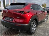 gebraucht Mazda CX-30 e-Skyactive G140 Exclusive-Line