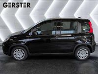 gebraucht Fiat Panda aus Dornbirn - 69 PS und 6800 km