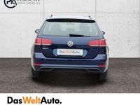 gebraucht VW Golf VII 