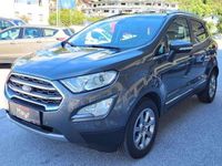 Gebraucht Ford Ecosport Titanium 101 PS (74 kW) 2018 Grau SUV