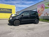 gebraucht Fiat Panda Panda1,2 ECO Dynamic ECO Dynamic