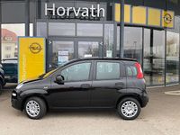 Neu Fiat Panda 69 PS (50 kW) 2026 Kleinwagen