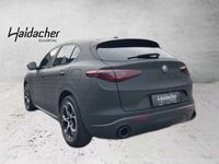 gebraucht Alfa Romeo Stelvio Super 2.0 ATX AWD SHD FAP Xenon RKam