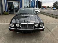 gebraucht Jaguar XJ Sovereign H.E. V12 5.3 Serie 3 Automatik