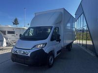 Neu Fiat Ducato S 177 PS (130 kW) 2025 Weiß Van