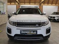 gebraucht Land Rover Range Rover evoque SE 20 TD4/XENON-LEDER-NAVI-TOP!!