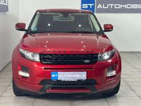 gebraucht Land Rover Range Rover evoque RangePure Aut. // PDC SITZHEIZUNG