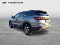 gebraucht Skoda Kodiaq Selection TSI mHEV DSG