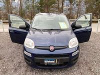 gebraucht Fiat Panda 1,2 69 *Easy* ERSTBESITZ / 2018