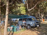 gebraucht VW T3 Syncro