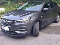Gebraucht Opel Grandland X 131 PS (96 kW) 2019 Grau SUV