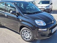 gebraucht Fiat Panda / Pandina MY25