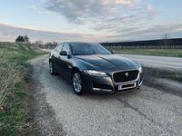 gebraucht Jaguar XF 20d Portfolio Aut.