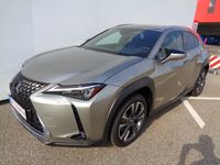 gebraucht Lexus UX 250h Style Edition 1.4kWh Aut.