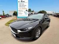 Gebraucht Mazda CX-30 Homura-Line 122 PS (89 kW) 2023 Blau SUV