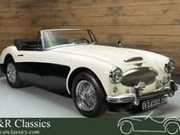 Gebraucht Austin Healey 3000 MK III 150 PS (110 kW) 1964 Weiß Cabrio