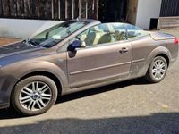 gebraucht Ford Focus Cabriolet 