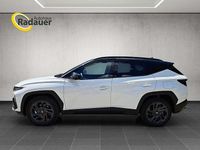 Neu Hyundai Tucson 160 PS (117 kW) 2025 Weiß SUV