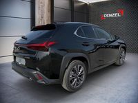 gebraucht Lexus UX 300h F-Sport Design