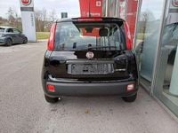 gebraucht Fiat Panda Cross Sonstige Pandina FireFly Hybrid 70