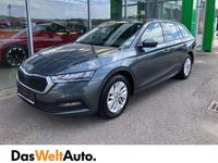 gebraucht Skoda Octavia Business TDI DSG