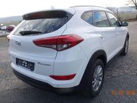 Gebraucht Hyundai Tucson GO! 116 PS (85 kW) 2019 Weiß SUV