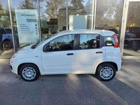 gebraucht Fiat Panda 4x2 FireFly Hybrid 70 Pandina