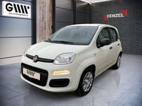 Neu Fiat Panda 70 PS (51 kW) 2025 Weiß Kleinwagen