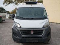 gebraucht Fiat Ducato Maxi 35 L4H2 Kühlwagen