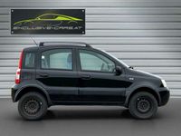 gebraucht Fiat Panda 4x4 1.2 8V Climbing