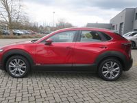 gebraucht Mazda CX-30 G122 Comfort+/SO