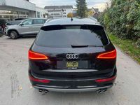 gebraucht Audi SQ5 30 TDI QUATTRO*LEDER*AHK*21-ZOLL*KEYLESS