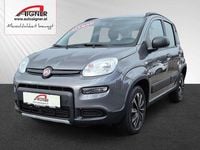 Gebraucht Fiat Panda 4x4 Wild 86 PS (63 kW) 2020 Grau Kleinwagen